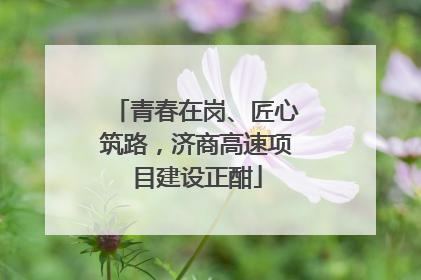 青春在岗、匠心筑路，济商高速项目建设正酣