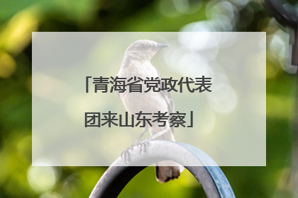 青海省党政代表团来山东考察
