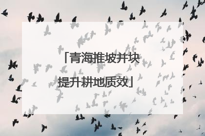 青海推坡并块提升耕地质效