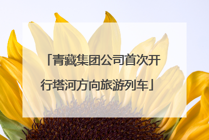 青藏集团公司首次开行塔河方向旅游列车