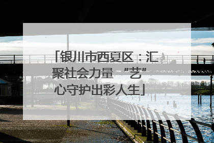 银川市西夏区：汇聚社会力量 “艺”心守护出彩人生