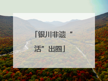 银川非遗“活”出圈