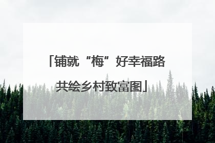 铺就“梅”好幸福路 共绘乡村致富图