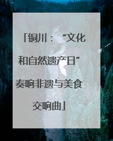 铜川:“文化和自然遗产日”奏响非遗与美食交响曲