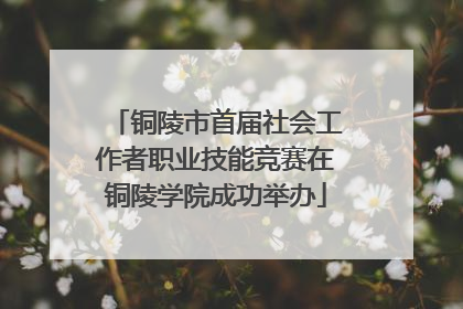 铜陵市首届社会工作者职业技能竞赛在铜陵学院成功举办