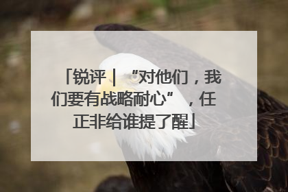 锐评｜“对他们，我们要有战略耐心”，任正非给谁提了醒