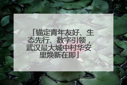 锚定青年友好、生态先行、数字引领，武汉最大城中村华安里焕新在即