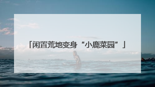 闲置荒地变身“小鹿菜园”