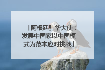 阿根廷驻华大使：发展中国家以中国模式为范本应对挑战