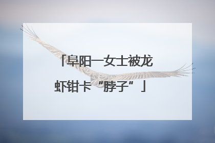 阜阳一女士被龙虾钳卡“脖子”