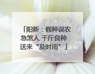 阳新：假种误农急煞人 千斤良种送来“及时雨”