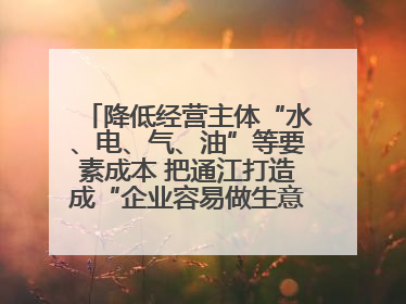 降低经营主体“水、电、气、油”等要素成本 把通江打造成“企业容易做生意的地方”