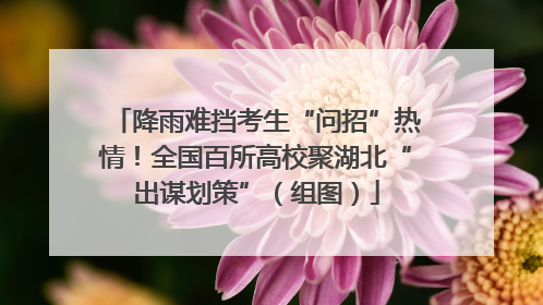 降雨难挡考生“问招”热情！全国百所高校聚湖北“出谋划策”（组图）