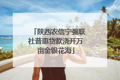 陕西农信宁强联社普惠贷款浇开万亩金银花海