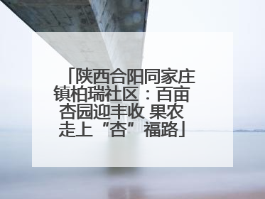 陕西合阳同家庄镇柏瑞社区：百亩杏园迎丰收 果农走上“杏”福路