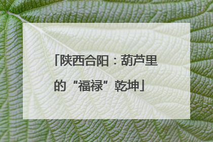 陕西合阳：葫芦里的“福禄”乾坤