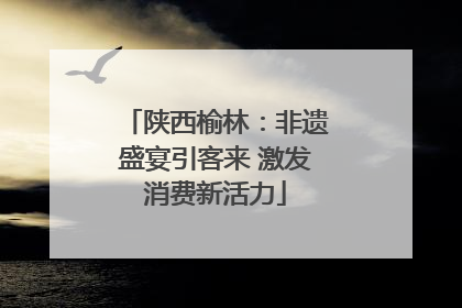 陕西榆林：非遗盛宴引客来 激发消费新活力
