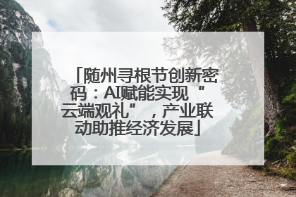 随州寻根节创新密码：AI赋能实现“云端观礼”，产业联动助推经济发展