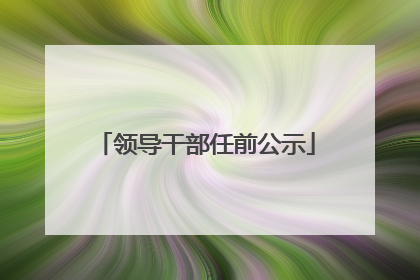 领导干部任前公示