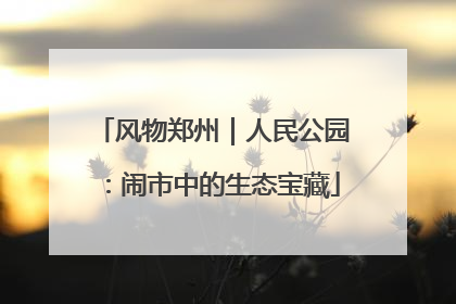 风物郑州｜人民公园：闹市中的生态宝藏