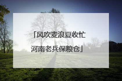 风吹麦浪夏收忙 河南老兵保粮仓