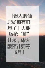 馋人的仙居杨梅有消息了！大棚版抢“鲜”开采，露天版预计要等6月
