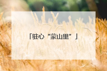 驻心“蒙山里”