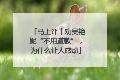 马上评丨劝吴艳妮“不用道歉”，为什么让人感动