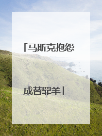 马斯克抱怨成替罪羊