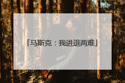 马斯克：我进退两难