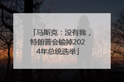 马斯克：没有我，特朗普会输掉2024年总统选举