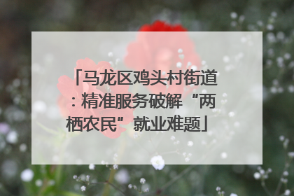 马龙区鸡头村街道：精准服务破解“两栖农民”就业难题