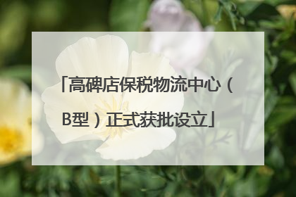高碑店保税物流中心（B型）正式获批设立