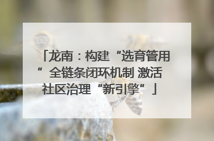 龙南：构建“选育管用”全链条闭环机制 激活社区治理“新引擎”