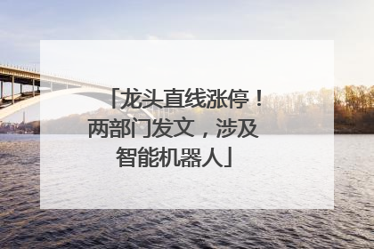 龙头直线涨停！两部门发文，涉及智能机器人