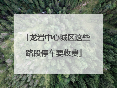 龙岩中心城区这些路段停车要收费