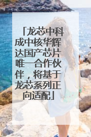 龙芯中科成中核华辉达国产芯片唯一合作伙伴，将基于龙芯系列正向适配