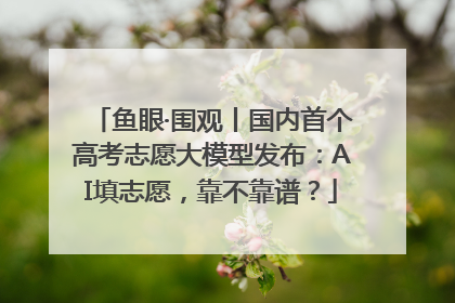 鱼眼·围观丨国内首个高考志愿大模型发布：AI填志愿，靠不靠谱？