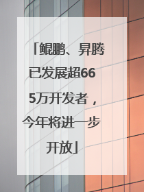 鲲鹏、昇腾已发展超665万开发者，今年将进一步开放