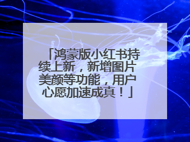 鸿蒙版小红书持续上新，新增图片美颜等功能，用户心愿加速成真！