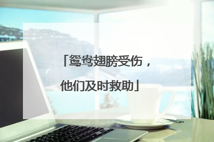 鸳鸯翅膀受伤，他们及时救助