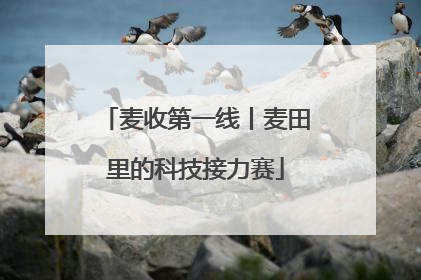麦收第一线丨麦田里的科技接力赛
