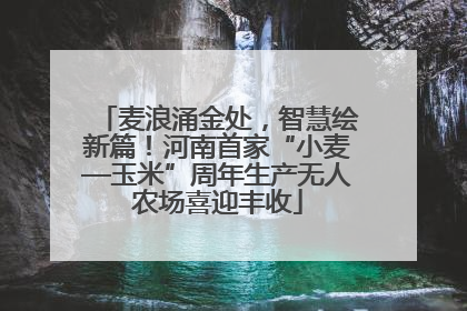 麦浪涌金处，智慧绘新篇！河南首家“小麦—玉米”周年生产无人农场喜迎丰收