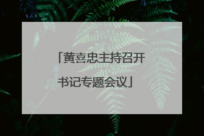 黄喜忠主持召开书记专题会议