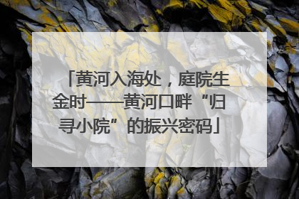 黄河入海处，庭院生金时——黄河口畔“归寻小院”的振兴密码