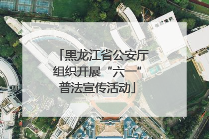 黑龙江省公安厅组织开展“六一”普法宣传活动