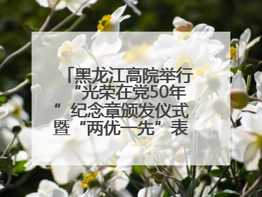 黑龙江高院举行“光荣在党50年”纪念章颁发仪式暨“两优一先”表彰大会