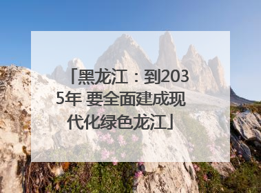 黑龙江：到2035年 要全面建成现代化绿色龙江
