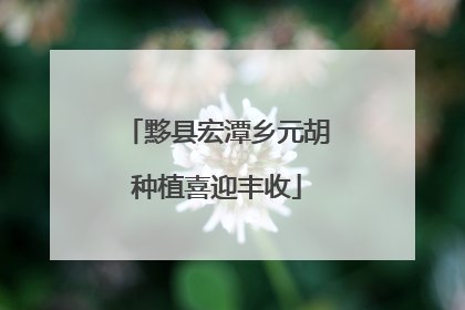 黟县宏潭乡元胡种植喜迎丰收