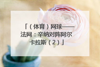 （体育）网球——法网：辛纳对阵阿尔卡拉斯（2）